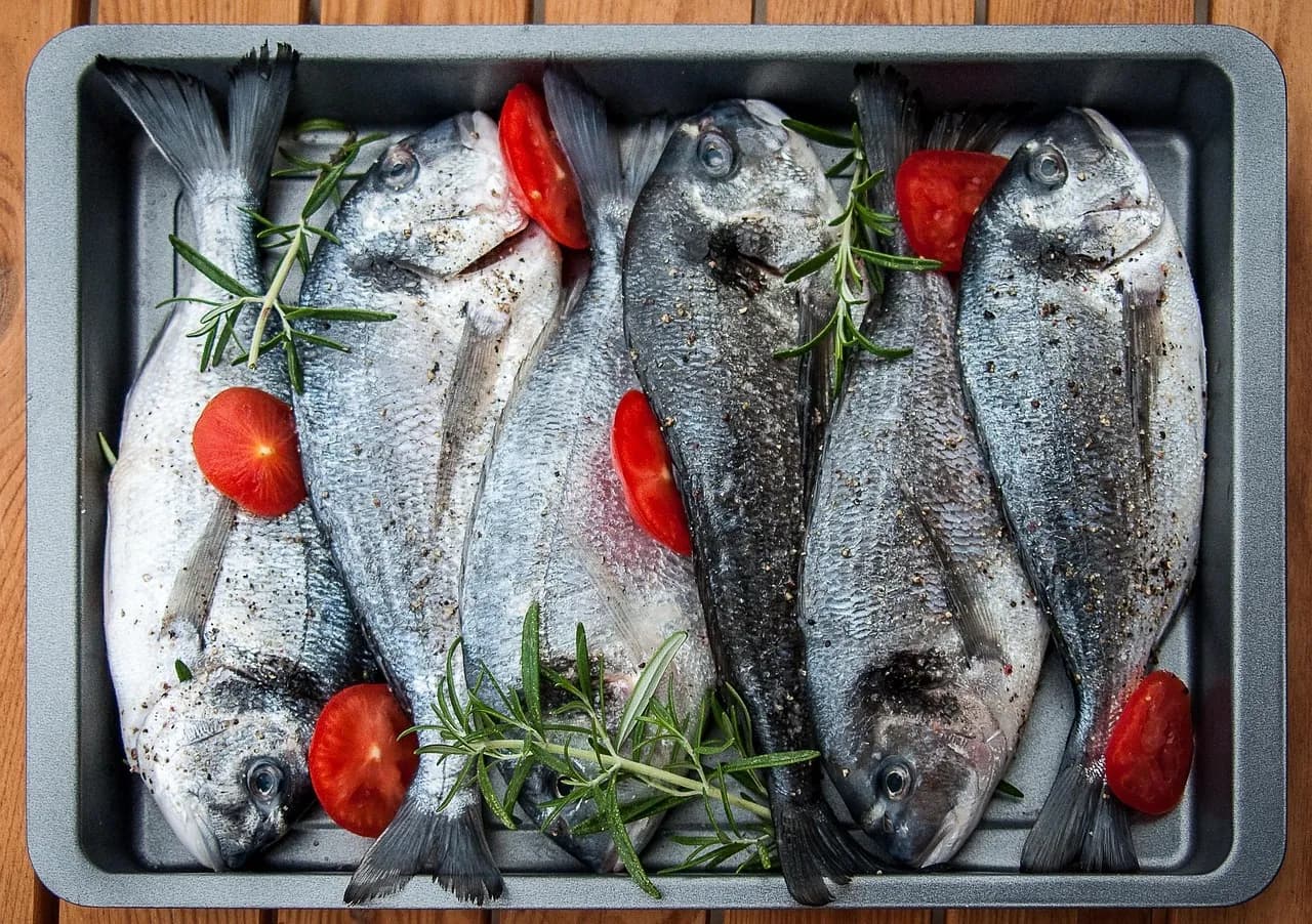 Mediterranean grilled fish plated for dinner