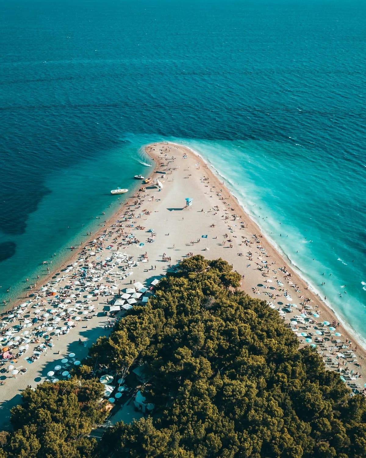 Brač